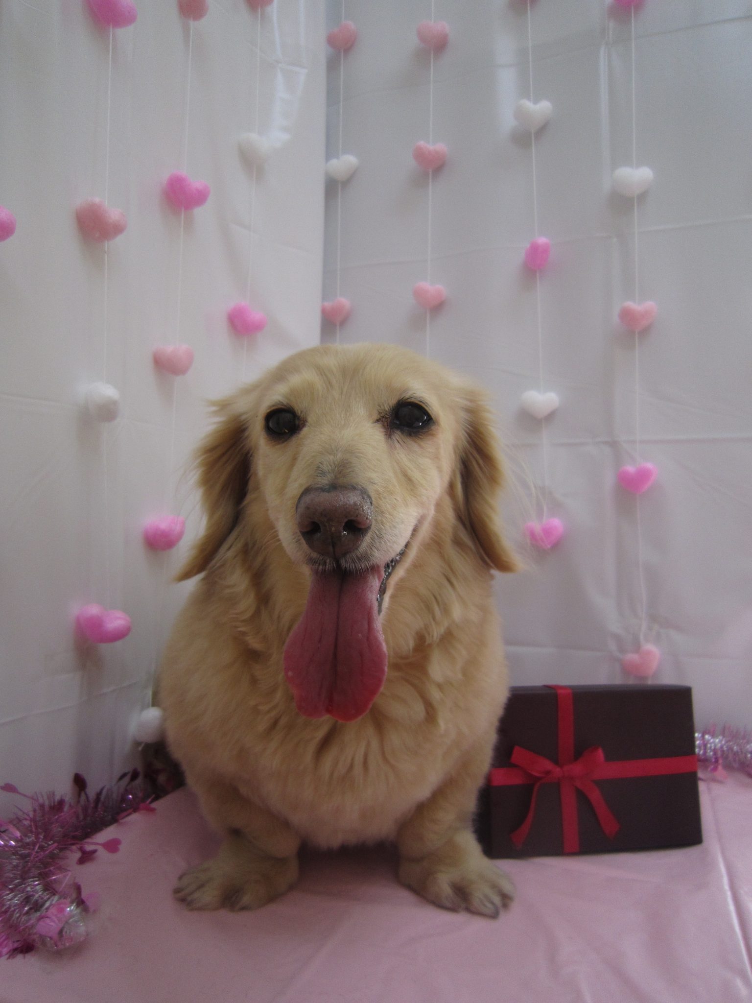 images