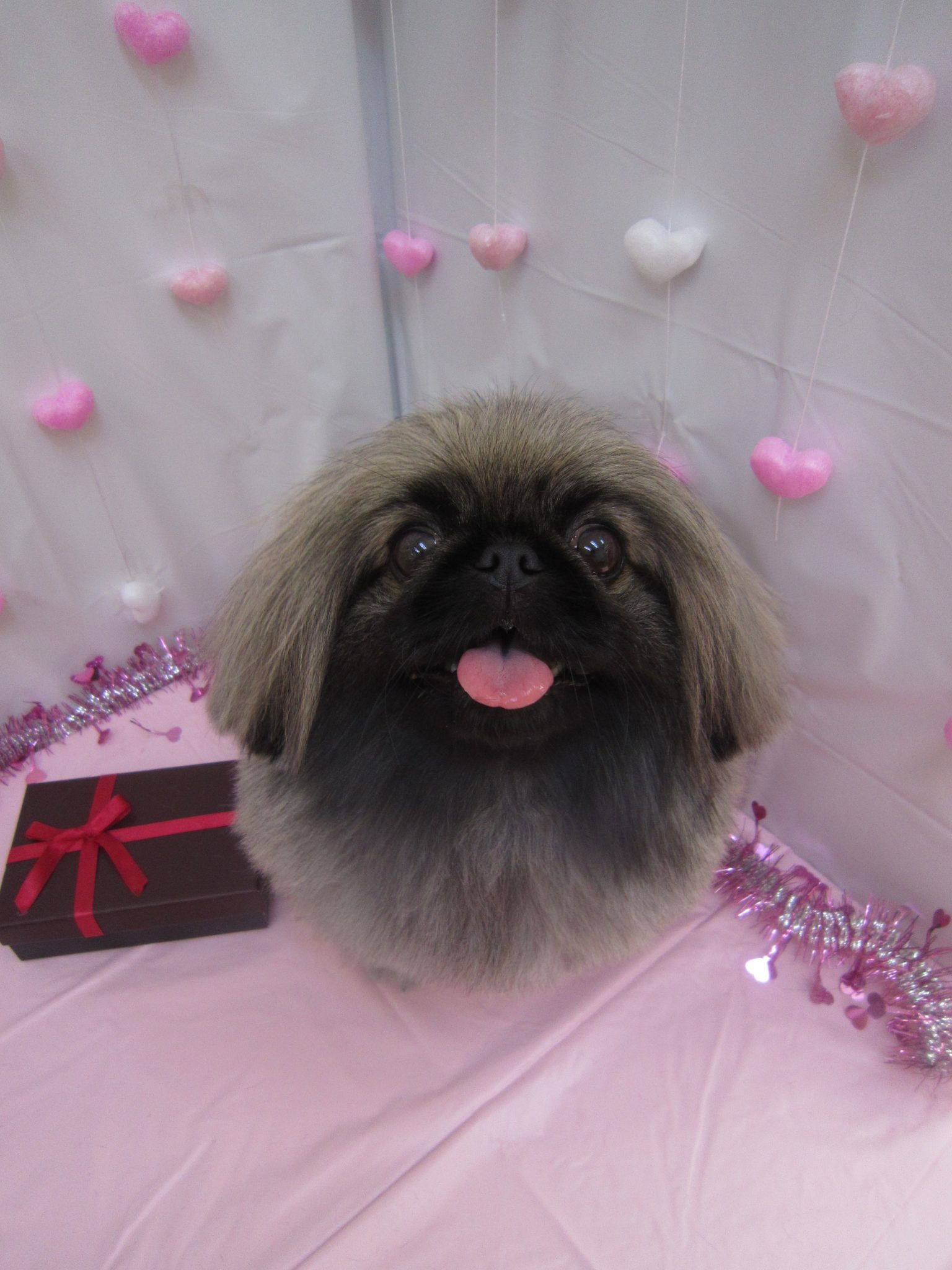 images