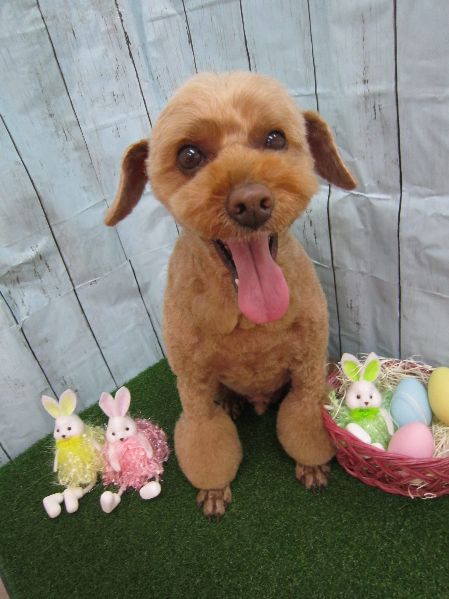 images