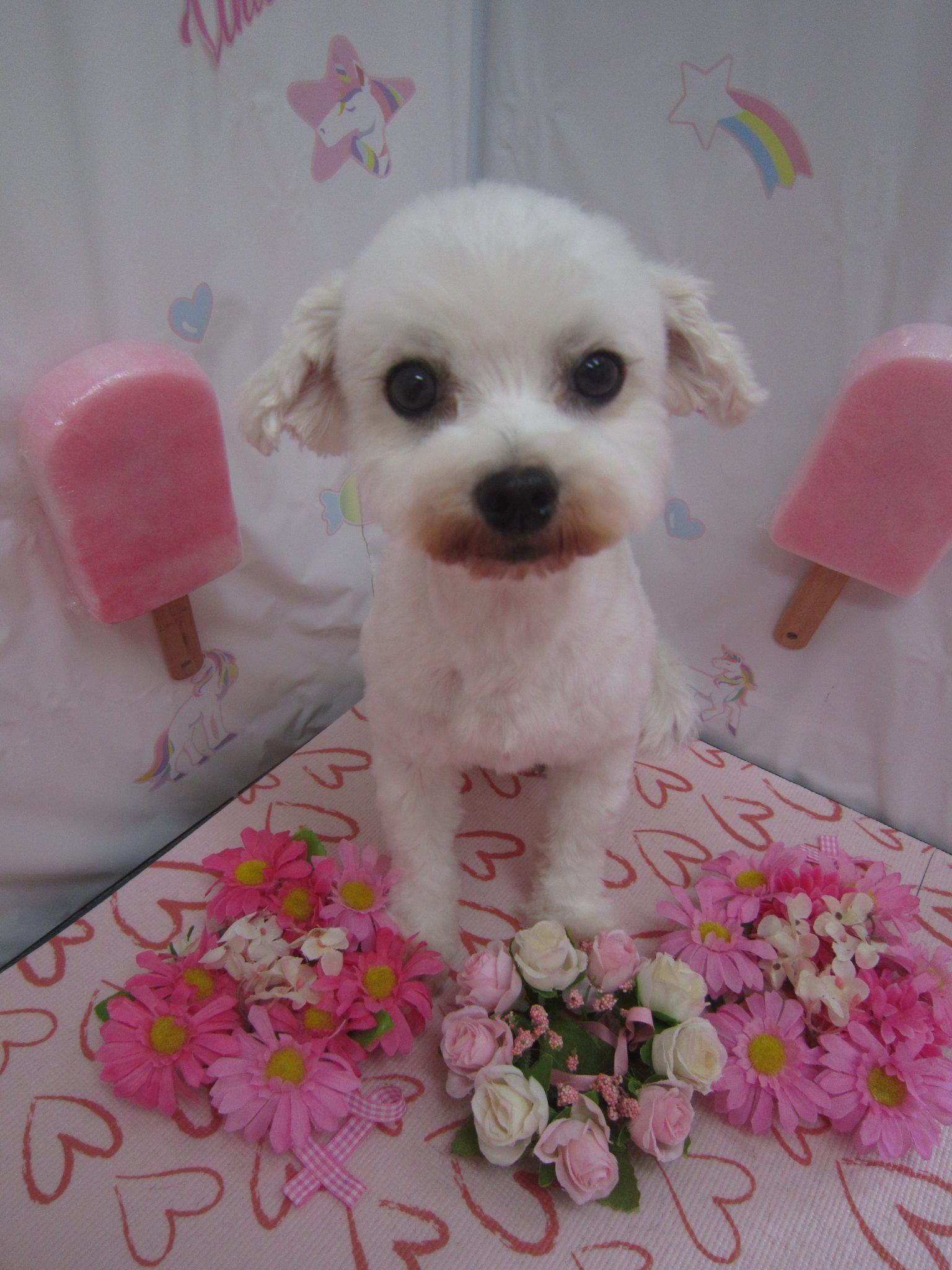 images