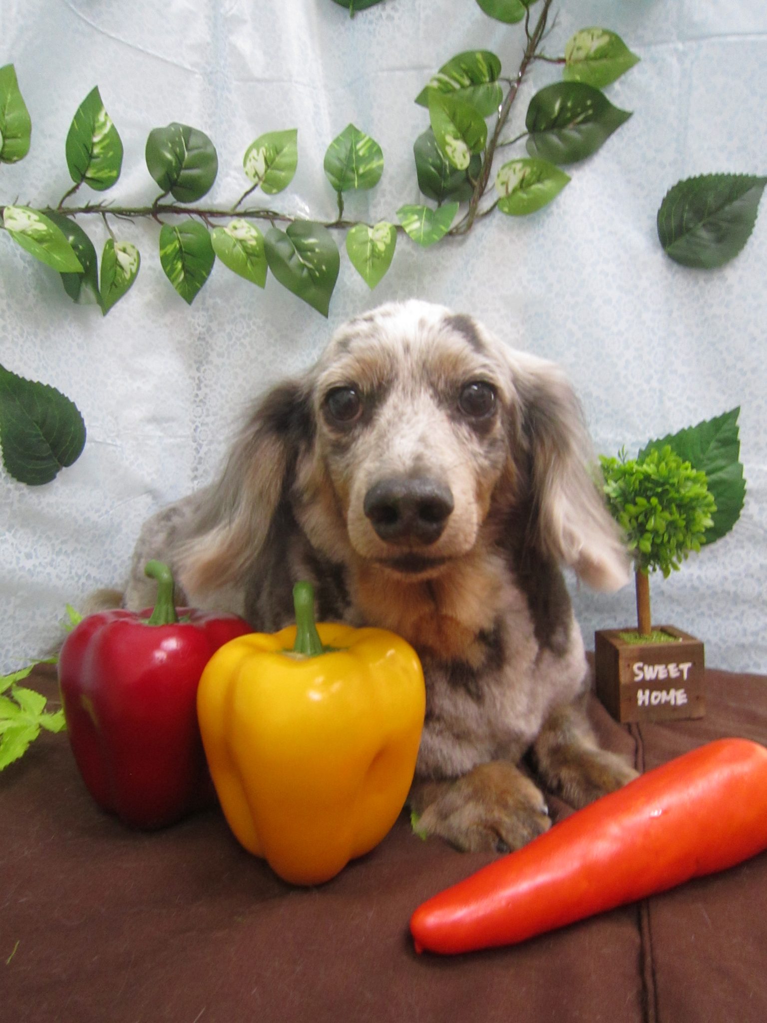 images