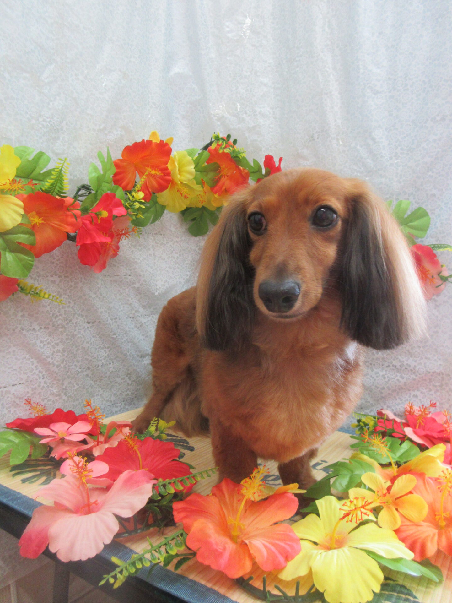 images